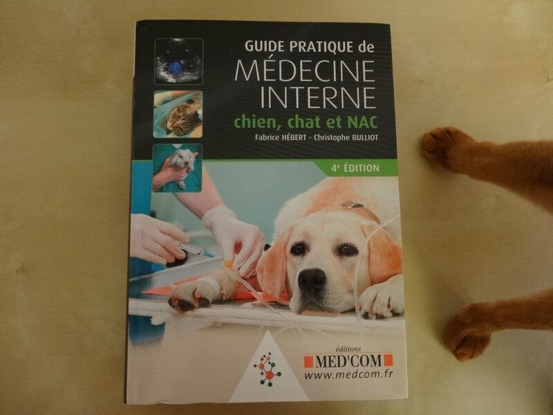 Guide pratique de médecine interne