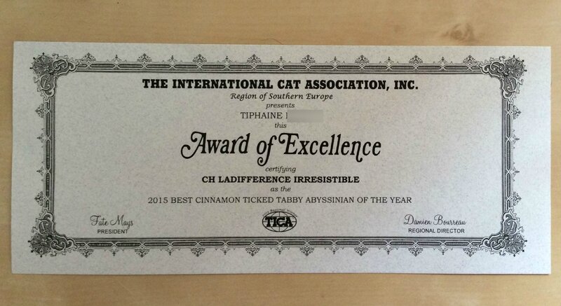 Award of excellence tica