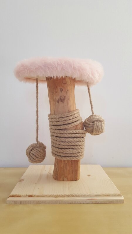 arbre à chat pour petits chatons en bois d'olivier