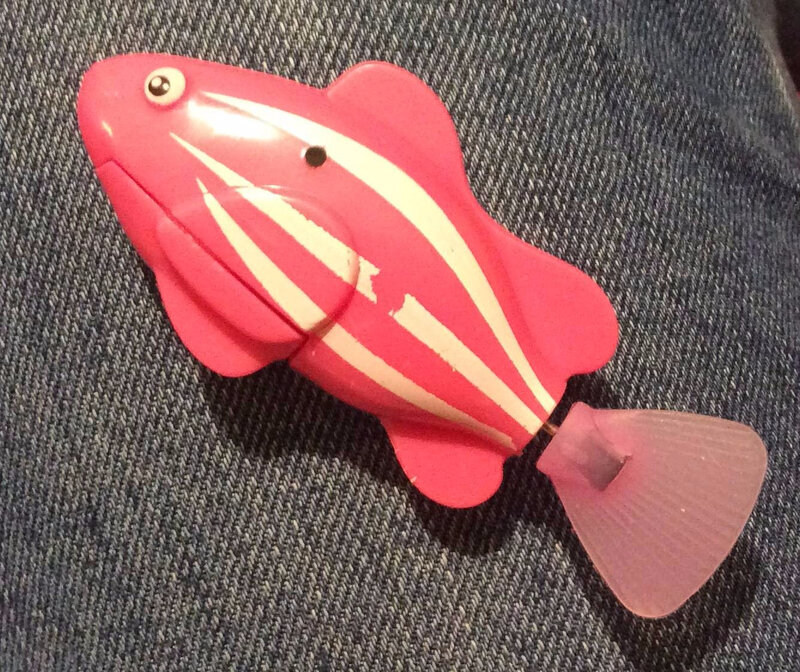 pink fish