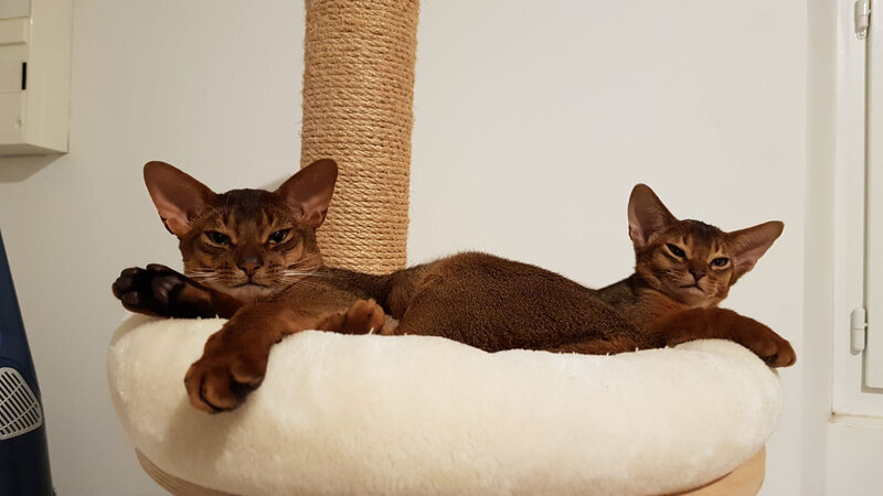 Les 2 frères tiennent la pause