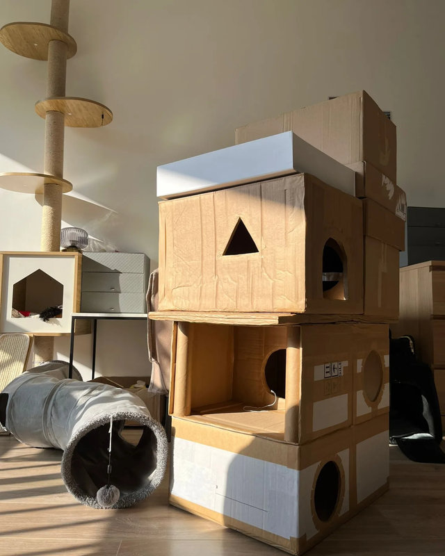 construire pour son chat