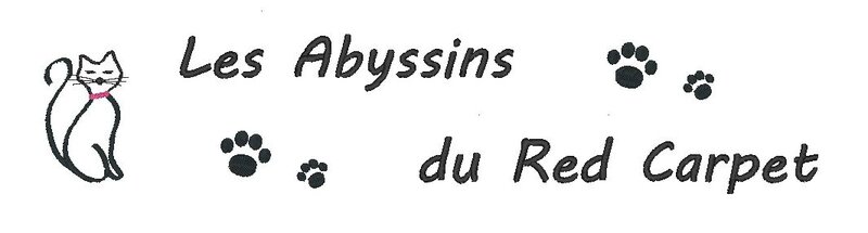 proposition 2 d'Abystyle