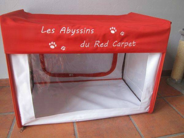 cage royal canin