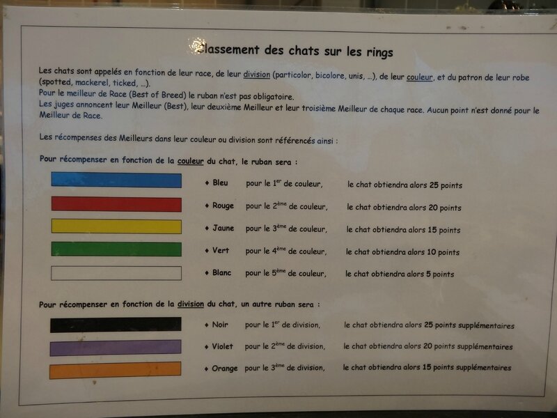 explications des couleurs en jugement TICA