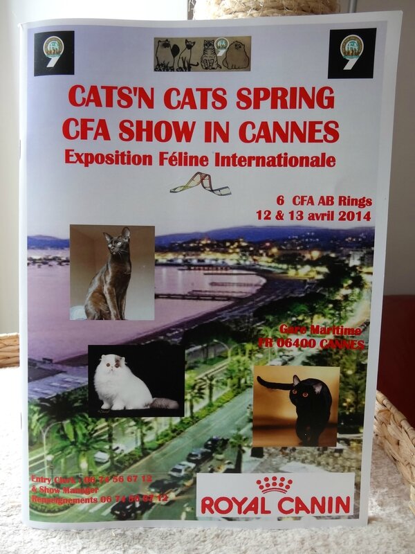 cfa show cannes